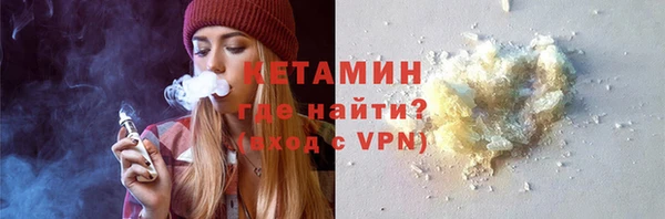 индика Ельня