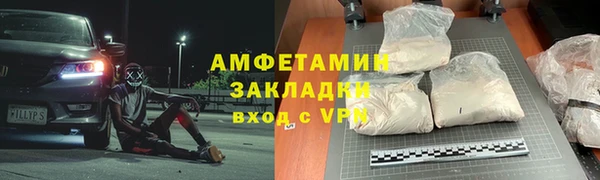 хмурый Аркадак