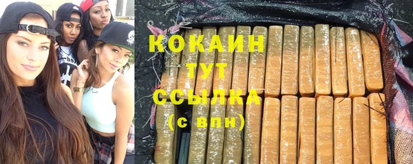 гидра Бородино