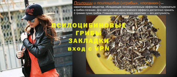хмурый Аркадак