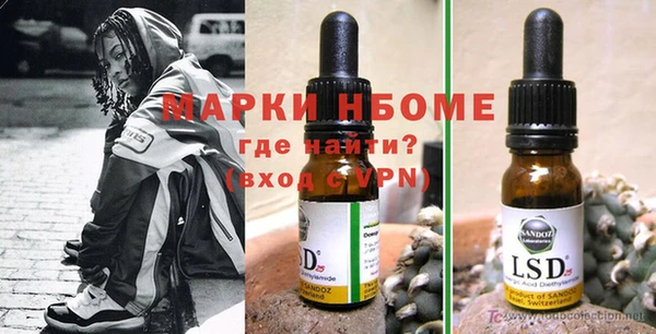 хмурый Аркадак