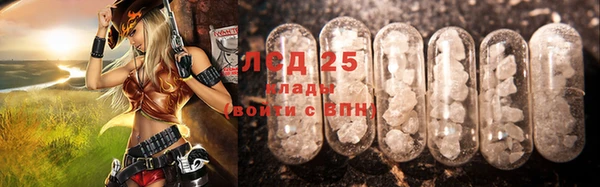 хмурый Аркадак