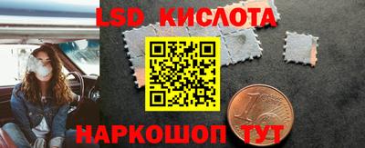 Альфа ПВП Можга