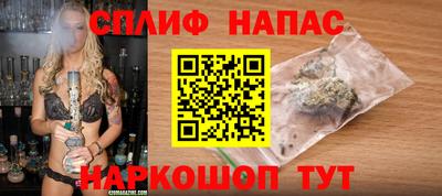Альфа ПВП Можга