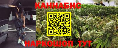 Альфа ПВП Можга