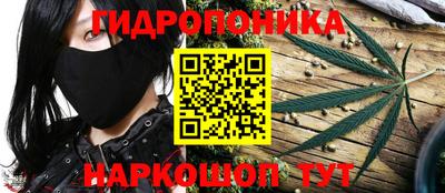 кокс Моздок