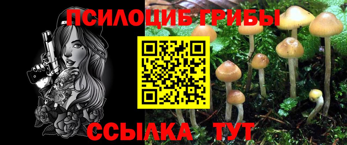 Галлюциногенные грибы Cubensis  Вход с VPN  Псилоцибиновые грибы MAGIC MUSHROOMS  купить закладку  Ейск 
