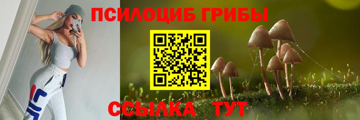 Псилоцибиновые грибы мухоморы Ейск